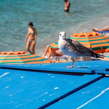Antica Ancora Vendégház Monterosso al Mare