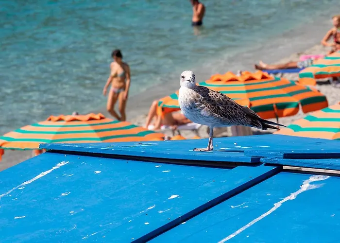 Antica Ancora Pensjonat Monterosso al Mare